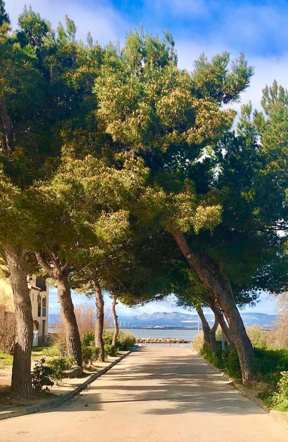 Barcaresa-Elegant Appartement Vue Mer Wifi Parking Le Barcarès Εξωτερικό φωτογραφία